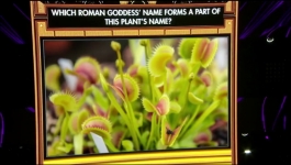 The Big Picture - 2nd January 2022